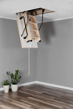 Чердачная лестница Oman Extra 550*1100*2800 Чердачная лестница Oman Extra 550*1100*2800